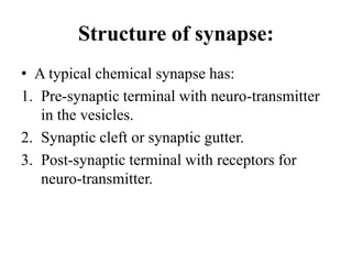 Symaptic Gutter Nervous System.pptx