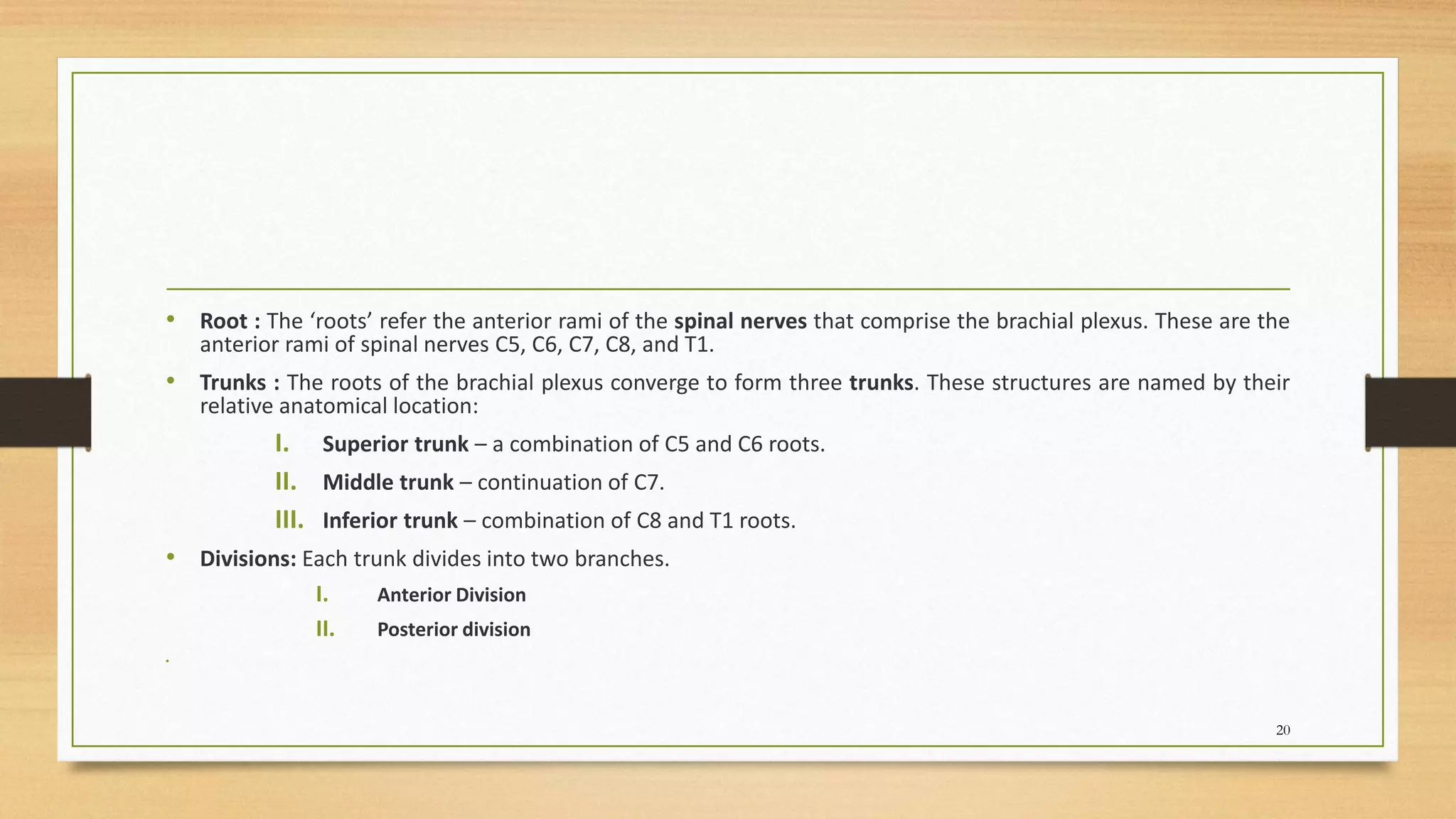 • Root : The ‘roots’ refer the anterior rami of the spinal nerves that comprise the brachial plexus. These are the
anterior rami of spinal nerves C5, C6, C7, C8, and T1.
• Trunks : The roots of the brachial plexus converge to form three trunks. These structures are named by their
relative anatomical location:
I. Superior trunk – a combination of C5 and C6 roots.
II. Middle trunk – continuation of C7.
III. Inferior trunk – combination of C8 and T1 roots.
• Divisions: Each trunk divides into two branches.
I. Anterior Division
II. Posterior division
•
20
 