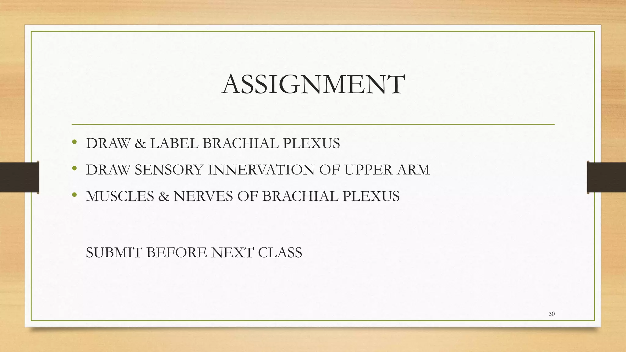 ASSIGNMENT
• DRAW & LABEL BRACHIAL PLEXUS
• DRAW SENSORY INNERVATION OF UPPER ARM
• MUSCLES & NERVES OF BRACHIAL PLEXUS
SUBMIT BEFORE NEXT CLASS
30
 