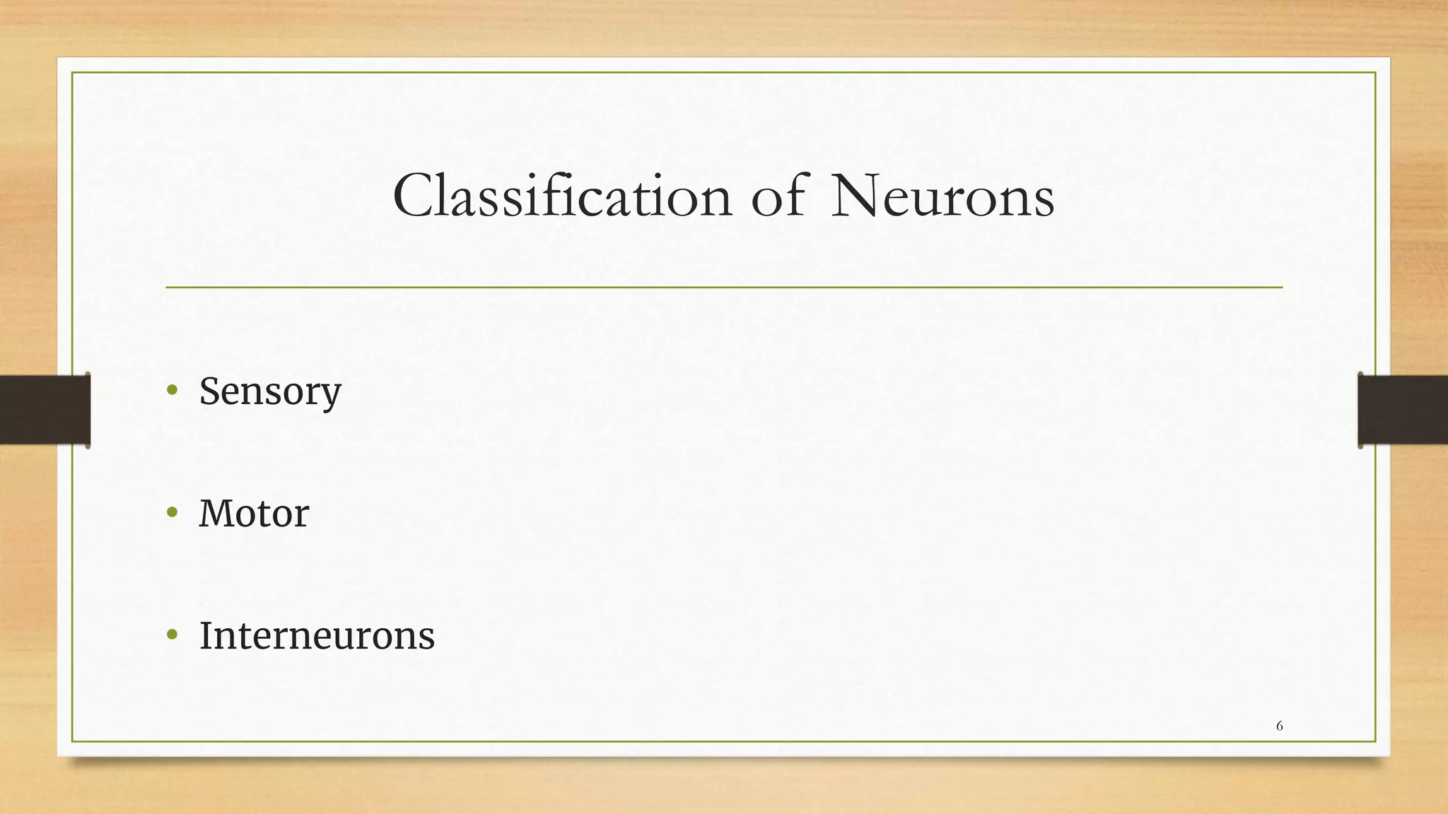 Classification of Neurons
• Sensory
• Motor
• Interneurons
6
 