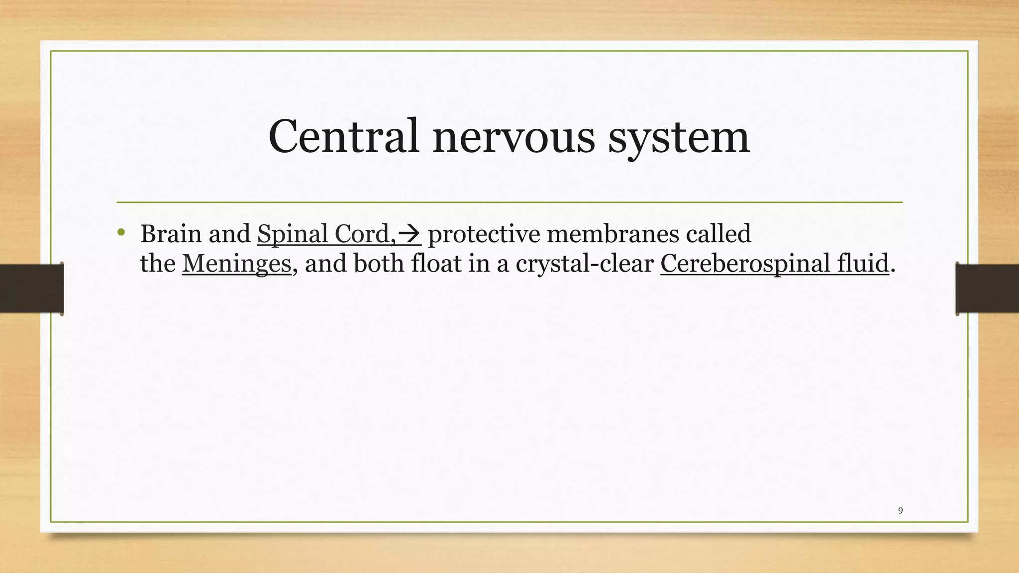 Central nervous system
• Brain and Spinal Cord,→ protective membranes called
the Meninges, and both float in a crystal-clear Cereberospinal fluid.
9
 