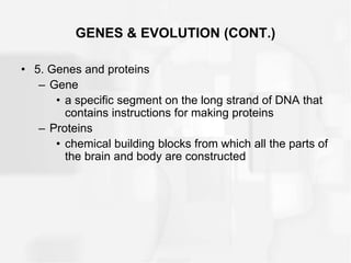 GENES & EVOLUTION (CONT.)
• 5. Genes and proteins
– Gene
• a specific segment on the long strand of DNA that
contains instructions for making proteins
– Proteins
• chemical building blocks from which all the parts of
the brain and body are constructed
 
