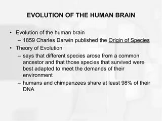 EVOLUTION OF THE HUMAN BRAIN
• Evolution of the human brain
– 1859 Charles Darwin published the Origin of Species
• Theory of Evolution
– says that different species arose from a common
ancestor and that those species that survived were
best adapted to meet the demands of their
environment
– humans and chimpanzees share at least 98% of their
DNA
 