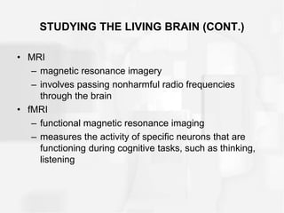 STUDYING THE LIVING BRAIN (CONT.)
• MRI
– magnetic resonance imagery
– involves passing nonharmful radio frequencies
through the brain
• fMRI
– functional magnetic resonance imaging
– measures the activity of specific neurons that are
functioning during cognitive tasks, such as thinking,
listening
 