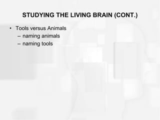 STUDYING THE LIVING BRAIN (CONT.)
• Tools versus Animals
– naming animals
– naming tools
 