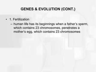 GENES & EVOLUTION (CONT.)
• 1. Fertilization
– human life has its beginnings when a father’s sperm,
which contains 23 chromosomes, penetrates a
mother’s egg, which contains 23 chromosomes
 