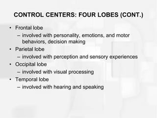 CONTROL CENTERS: FOUR LOBES (CONT.)
• Frontal lobe
– involved with personality, emotions, and motor
behaviors, decision making
• Parietal lobe
– involved with perception and sensory experiences
• Occipital lobe
– involved with visual processing
• Temporal lobe
– involved with hearing and speaking
 