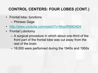 CONTROL CENTERS: FOUR LOBES (CONT.)
• Frontal lobe: functions
– Phineas Gage
• http://www.youtube.com/watch?v=MvpIRN9D4D4
• Frontal Lobotomy
– A surgical procedure in which about one-third of the
front part of the frontal lobe was cut away from the
rest of the brain
– 18,000 were performed during the 1940s and 1950s
 