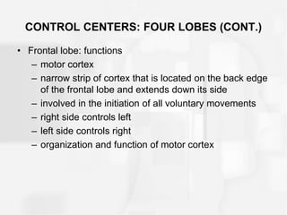 CONTROL CENTERS: FOUR LOBES (CONT.)
• Frontal lobe: functions
– motor cortex
– narrow strip of cortex that is located on the back edge
of the frontal lobe and extends down its side
– involved in the initiation of all voluntary movements
– right side controls left
– left side controls right
– organization and function of motor cortex
 