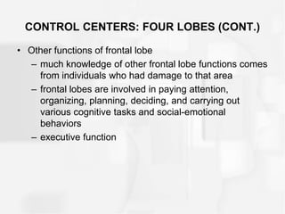 CONTROL CENTERS: FOUR LOBES (CONT.)
• Other functions of frontal lobe
– much knowledge of other frontal lobe functions comes
from individuals who had damage to that area
– frontal lobes are involved in paying attention,
organizing, planning, deciding, and carrying out
various cognitive tasks and social-emotional
behaviors
– executive function
 