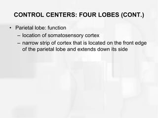 CONTROL CENTERS: FOUR LOBES (CONT.)
• Parietal lobe: function
– location of somatosensory cortex
– narrow strip of cortex that is located on the front edge
of the parietal lobe and extends down its side
 