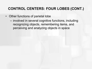 CONTROL CENTERS: FOUR LOBES (CONT.)
• Other functions of parietal lobe
– involved in several cognitive functions, including
recognizing objects, remembering items, and
perceiving and analyzing objects in space
 