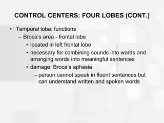 CONTROL CENTERS: FOUR LOBES (CONT.)
• Temporal lobe: functions
– Broca’s area - frontal lobe
• located in left frontal lobe
• necessary for combining sounds into words and
arranging words into meaningful sentences
• damage: Broca’s aphasia
– person cannot speak in fluent sentences but
can understand written and spoken words
 