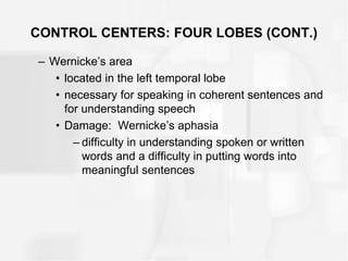 CONTROL CENTERS: FOUR LOBES (CONT.)
– Wernicke’s area
• located in the left temporal lobe
• necessary for speaking in coherent sentences and
for understanding speech
• Damage: Wernicke’s aphasia
– difficulty in understanding spoken or written
words and a difficulty in putting words into
meaningful sentences
 