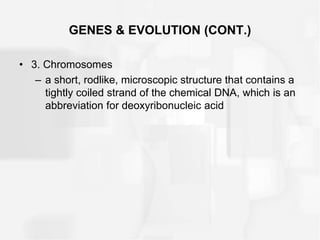 GENES & EVOLUTION (CONT.)
• 3. Chromosomes
– a short, rodlike, microscopic structure that contains a
tightly coiled strand of the chemical DNA, which is an
abbreviation for deoxyribonucleic acid
 