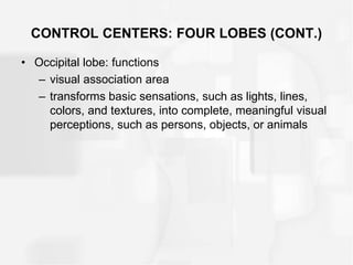 CONTROL CENTERS: FOUR LOBES (CONT.)
• Occipital lobe: functions
– visual association area
– transforms basic sensations, such as lights, lines,
colors, and textures, into complete, meaningful visual
perceptions, such as persons, objects, or animals
 