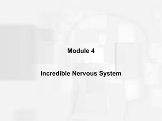 Module 4
Incredible Nervous System
 