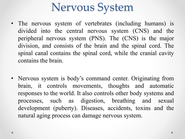 Nervous System.pptx