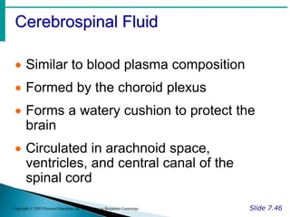 Cerebrospinal Fluid
Slide 7.46
Copyright © 2003 Pearson Education, Inc. publishing as Benjamin Cummings
 Similar to blood plasma composition
 Formed by the choroid plexus
 Forms a watery cushion to protect the
brain
 Circulated in arachnoid space,
ventricles, and central canal of the
spinal cord
 