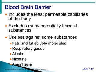 Blood Brain Barrier
Slide 7.48
Copyright © 2003 Pearson Education, Inc. publishing as Benjamin Cummings
 Includes the least permeable capillaries
of the body
 Excludes many potentially harmful
substances
 Useless against some substances
Fats and fat soluble molecules
Respiratory gases
Alcohol
Nicotine
Anesthesia
 
