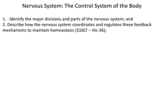 Nervous System: The Control System of the Body
1. Identify the major divisions and parts of the nervous system; and
2. Describe how the nervous system coordinates and regulates these feedback
mechanisms to maintain homeostasis (S10LT – IIIc-36);
 