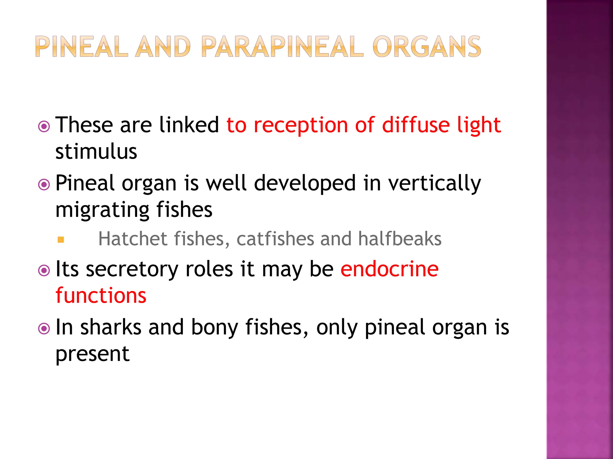 Nervous system of fishes. lagler ichthyologypptx | PPTX