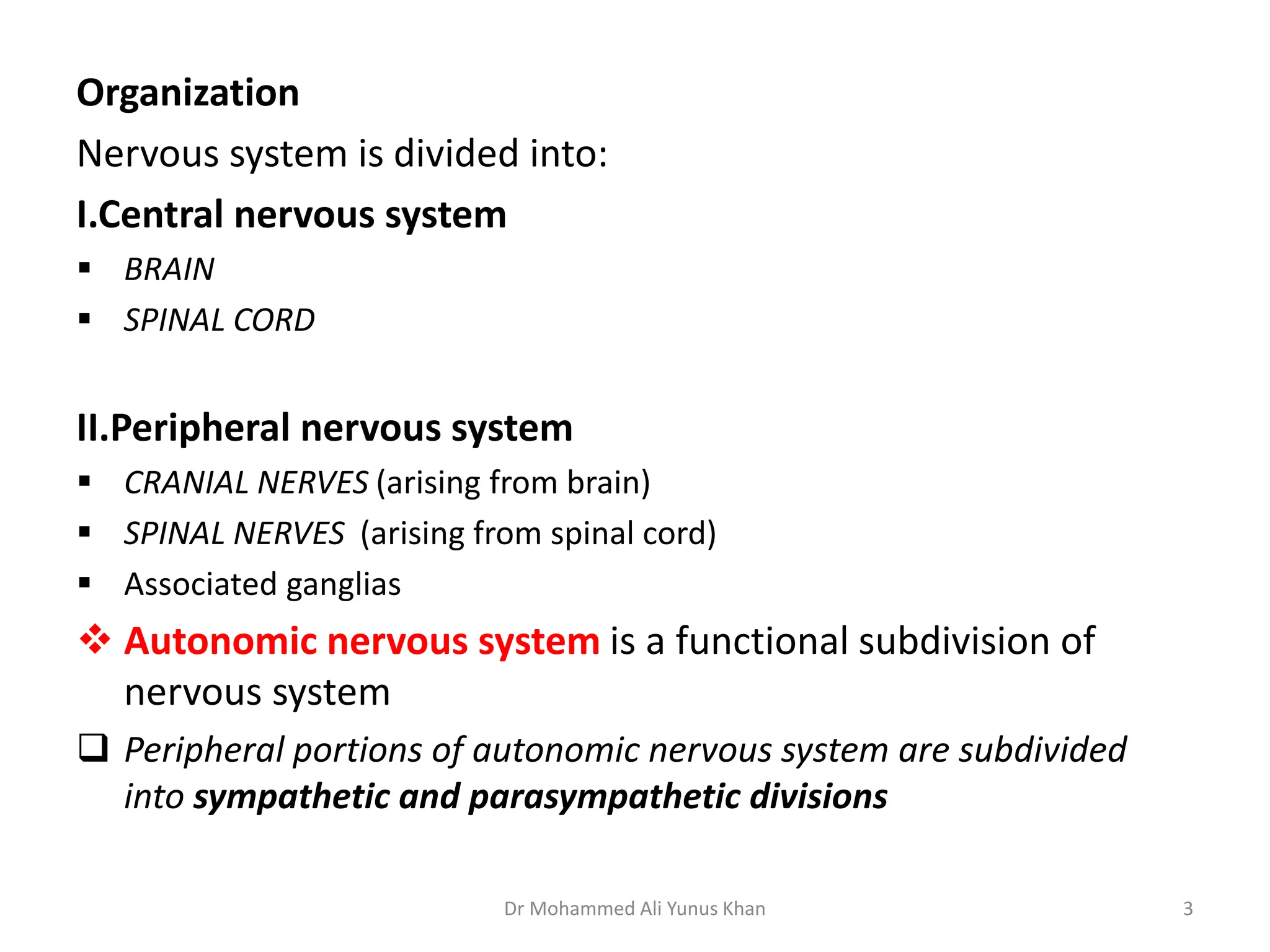 Anatomy And Physiology Of Nervous System Ppt Anatomy And Physiology Of Nervous System Ppt