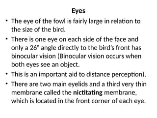 Eyes
• The eye of the fowl is fairly large in relation to
the size of the bird.
• There is one eye on each side of the face and
only a 26° angle directly to the bird’s front has
binocular vision (Binocular vision occurs when
both eyes see an object.
• This is an important aid to distance perception).
• There are two main eyelids and a third very thin
membrane called the nictitating membrane,
which is located in the front corner of each eye.
 