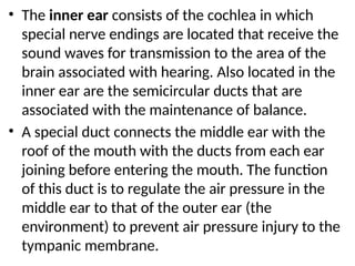 • The inner ear consists of the cochlea in which
special nerve endings are located that receive the
sound waves for transmission to the area of the
brain associated with hearing. Also located in the
inner ear are the semicircular ducts that are
associated with the maintenance of balance.
• A special duct connects the middle ear with the
roof of the mouth with the ducts from each ear
joining before entering the mouth. The function
of this duct is to regulate the air pressure in the
middle ear to that of the outer ear (the
environment) to prevent air pressure injury to the
tympanic membrane.
 