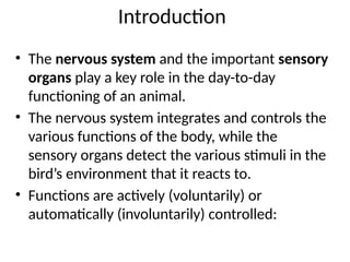 Introduction
• The nervous system and the important sensory
organs play a key role in the day-to-day
functioning of an animal.
• The nervous system integrates and controls the
various functions of the body, while the
sensory organs detect the various stimuli in the
bird’s environment that it reacts to.
• Functions are actively (voluntarily) or
automatically (involuntarily) controlled:
 