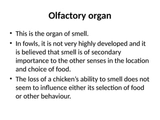 Olfactory organ
• This is the organ of smell.
• In fowls, it is not very highly developed and it
is believed that smell is of secondary
importance to the other senses in the location
and choice of food.
• The loss of a chicken’s ability to smell does not
seem to influence either its selection of food
or other behaviour.
 