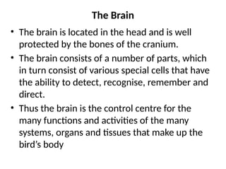 The Brain
• The brain is located in the head and is well
protected by the bones of the cranium.
• The brain consists of a number of parts, which
in turn consist of various special cells that have
the ability to detect, recognise, remember and
direct.
• Thus the brain is the control centre for the
many functions and activities of the many
systems, organs and tissues that make up the
bird’s body
 