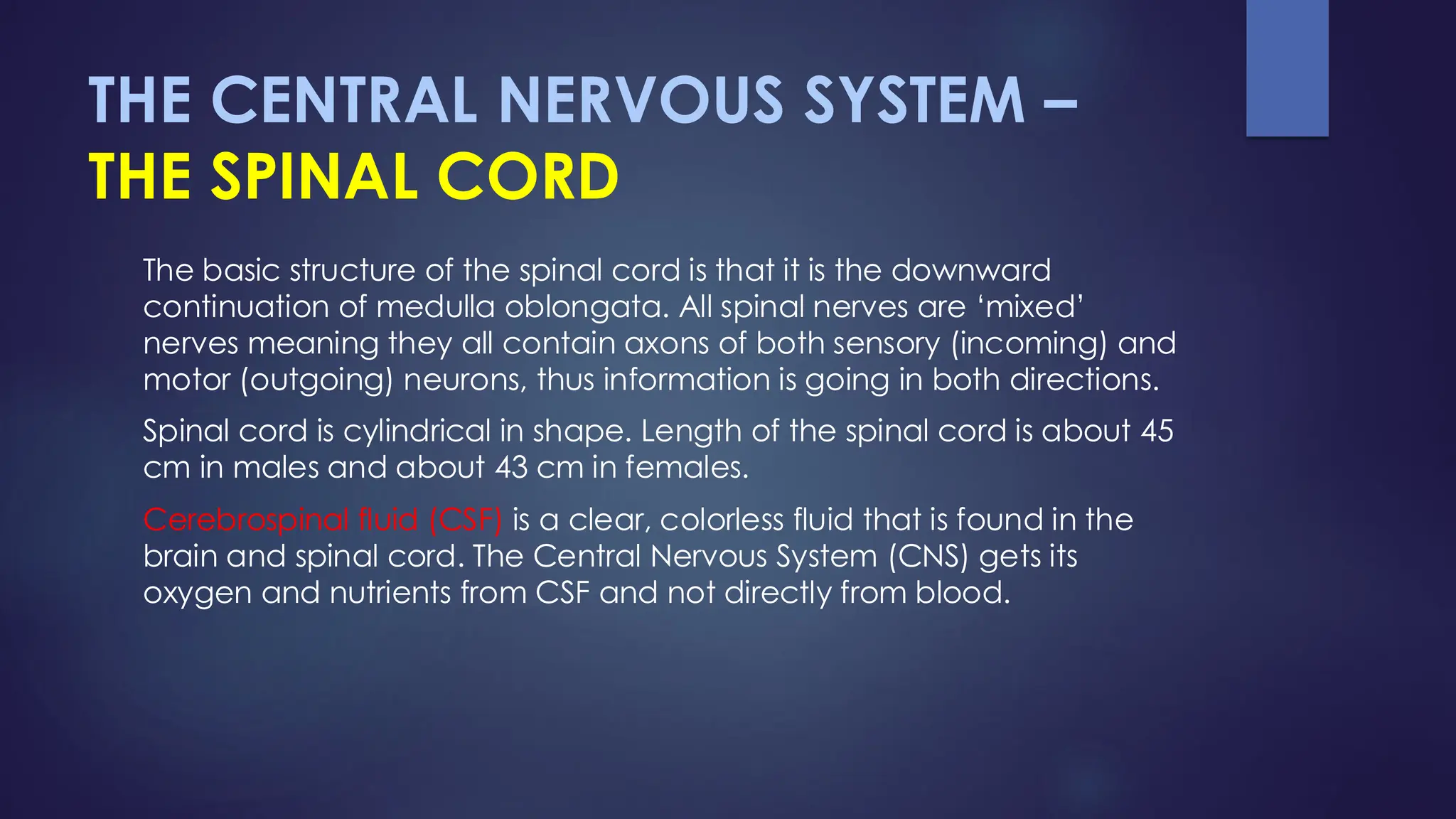 THE CENTRAL NERVOUS SYSTEM –
THE SPINAL CORD
The basic structure of the spinal cord is that it is the downward
continuation of medulla oblongata. All spinal nerves are ‘mixed’
nerves meaning they all contain axons of both sensory (incoming) and
motor (outgoing) neurons, thus information is going in both directions.
Spinal cord is cylindrical in shape. Length of the spinal cord is about 45
cm in males and about 43 cm in females.
Cerebrospinal fluid (CSF) is a clear, colorless fluid that is found in the
brain and spinal cord. The Central Nervous System (CNS) gets its
oxygen and nutrients from CSF and not directly from blood.
 
