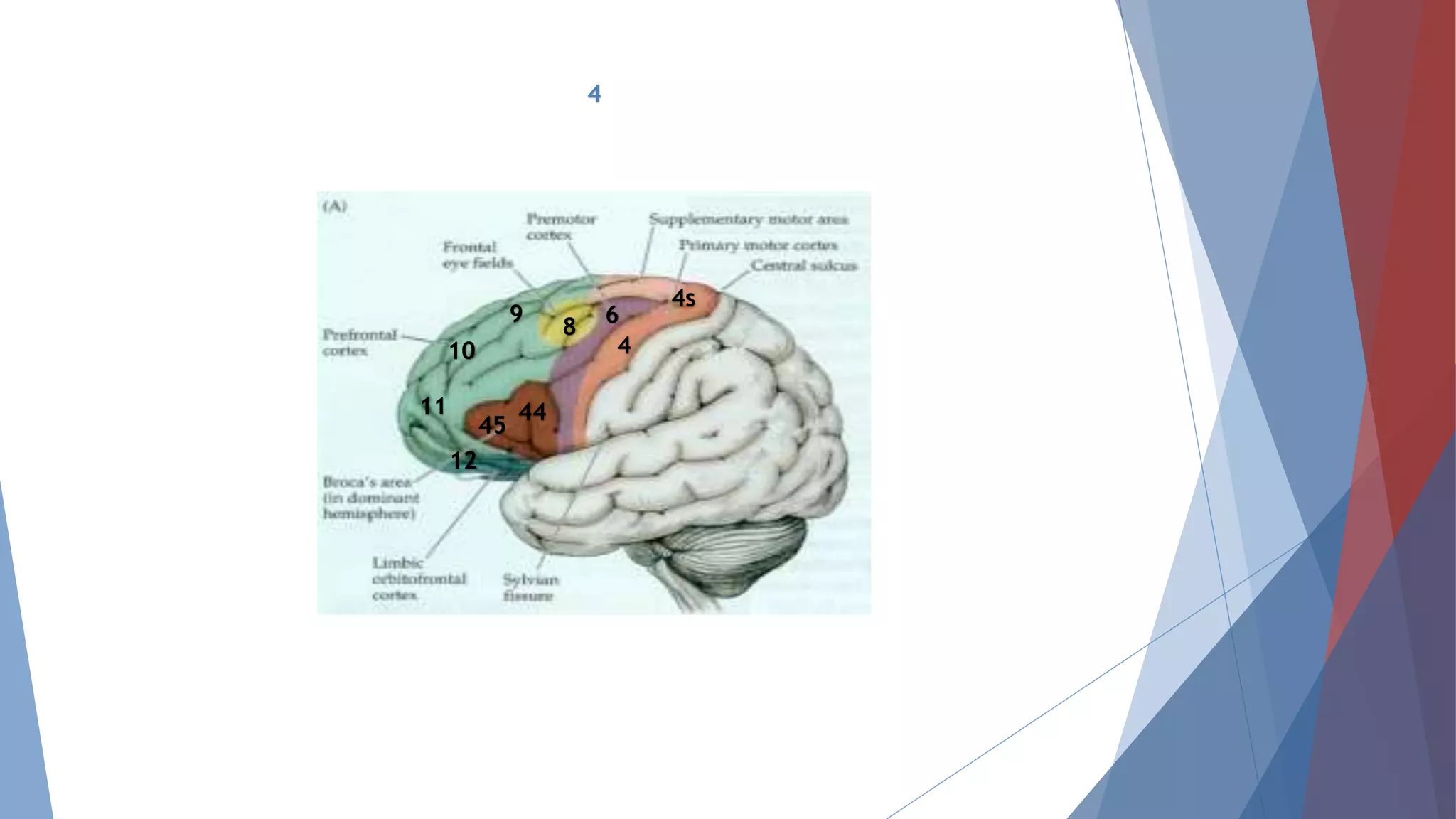 4
4s
4
68
44
45
9
10
11
12
 