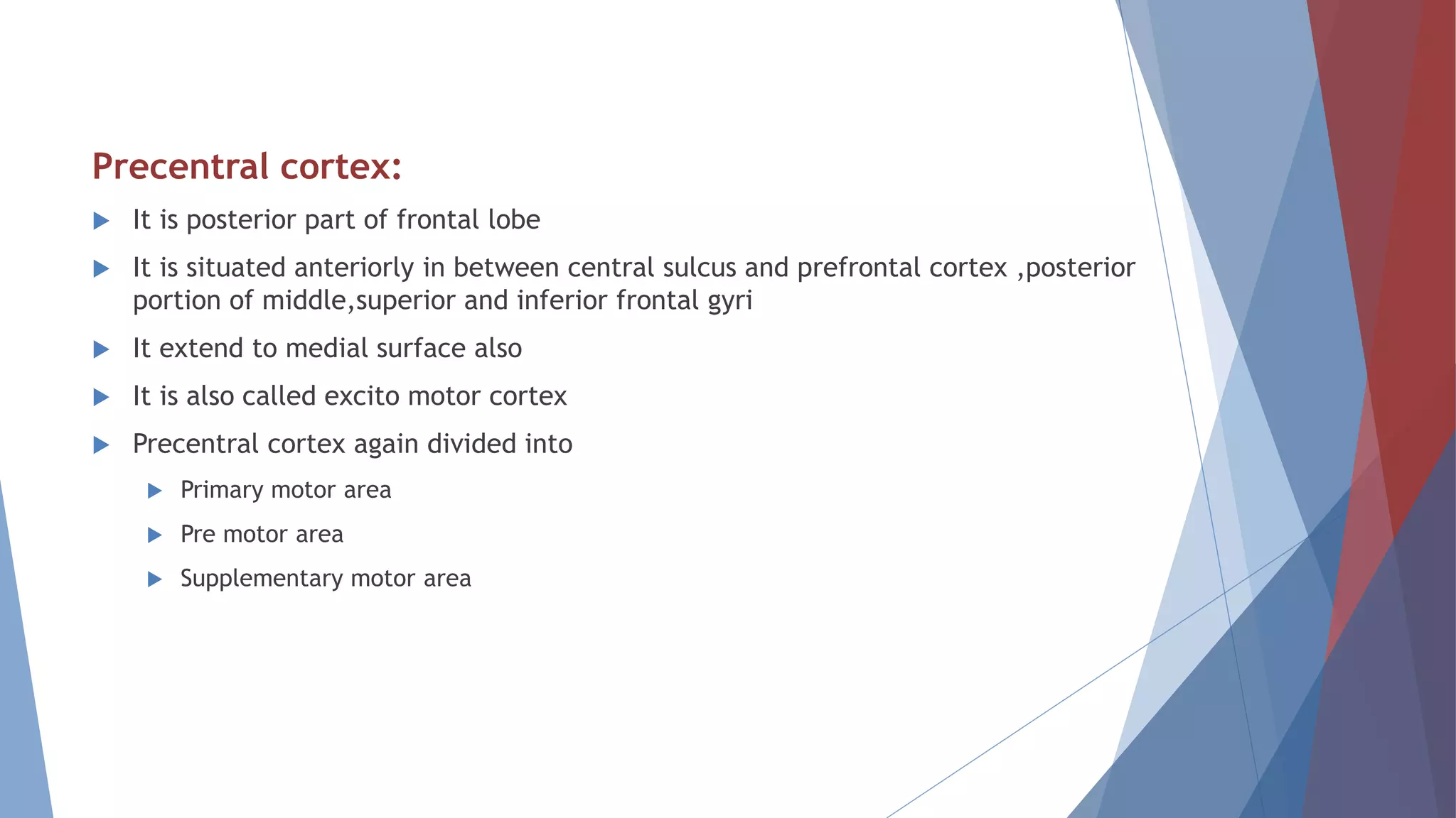 Precentral cortex:
 It is posterior part of frontal lobe
 It is situated anteriorly in between central sulcus and prefrontal cortex ,posterior
portion of middle,superior and inferior frontal gyri
 It extend to medial surface also
 It is also called excito motor cortex
 Precentral cortex again divided into
 Primary motor area
 Pre motor area
 Supplementary motor area
 