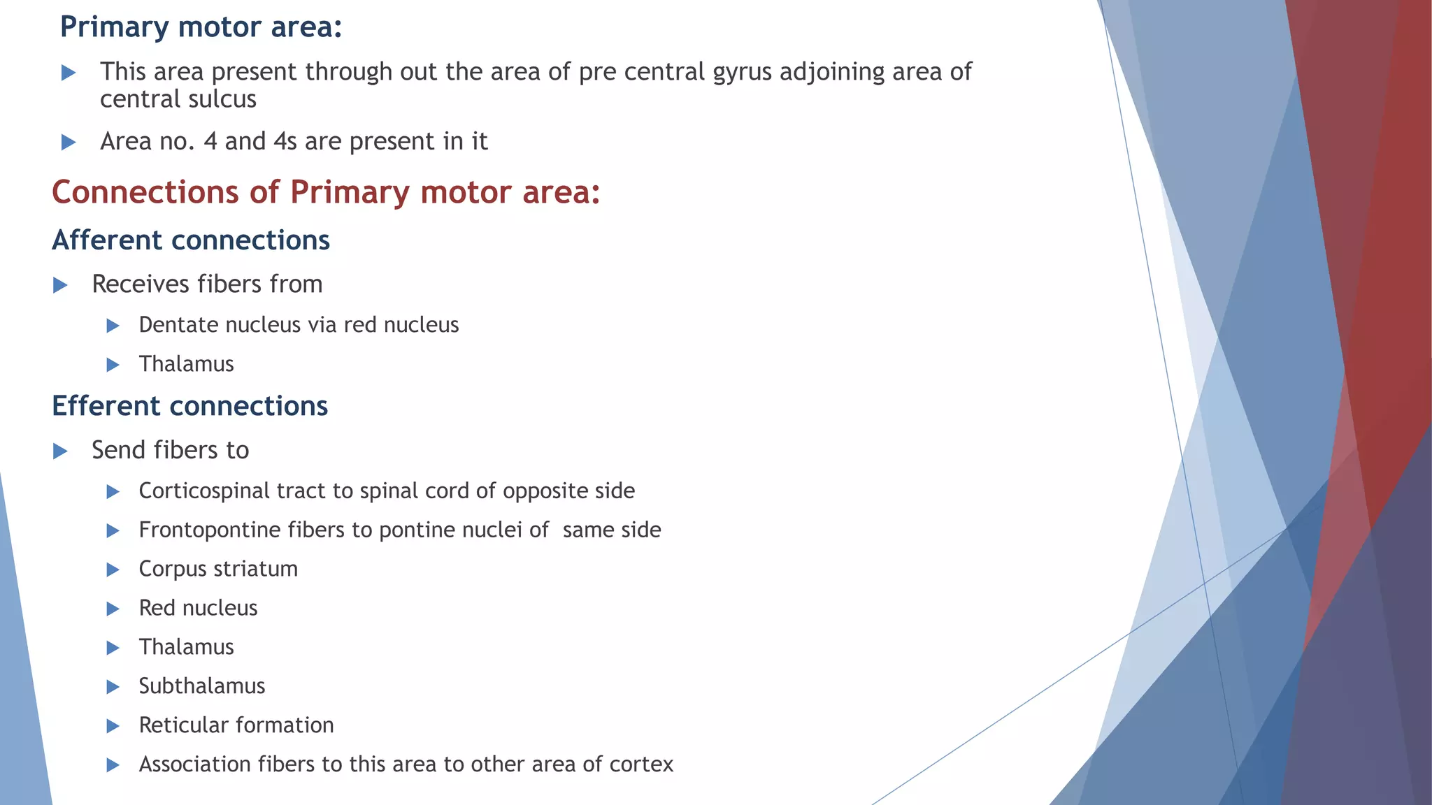 Primary motor area:
 This area present through out the area of pre central gyrus adjoining area of
central sulcus
 Area no. 4 and 4s are present in it
Connections of Primary motor area:
Afferent connections
 Receives fibers from
 Dentate nucleus via red nucleus
 Thalamus
Efferent connections
 Send fibers to
 Corticospinal tract to spinal cord of opposite side
 Frontopontine fibers to pontine nuclei of same side
 Corpus striatum
 Red nucleus
 Thalamus
 Subthalamus
 Reticular formation
 Association fibers to this area to other area of cortex
 