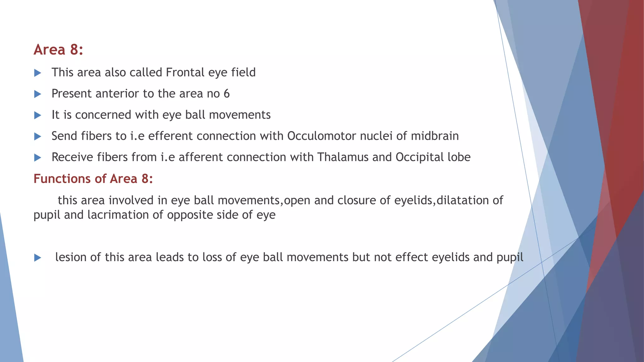 Area 8:
 This area also called Frontal eye field
 Present anterior to the area no 6
 It is concerned with eye ball movements
 Send fibers to i.e efferent connection with Occulomotor nuclei of midbrain
 Receive fibers from i.e afferent connection with Thalamus and Occipital lobe
Functions of Area 8:
this area involved in eye ball movements,open and closure of eyelids,dilatation of
pupil and lacrimation of opposite side of eye
 lesion of this area leads to loss of eye ball movements but not effect eyelids and pupil
 