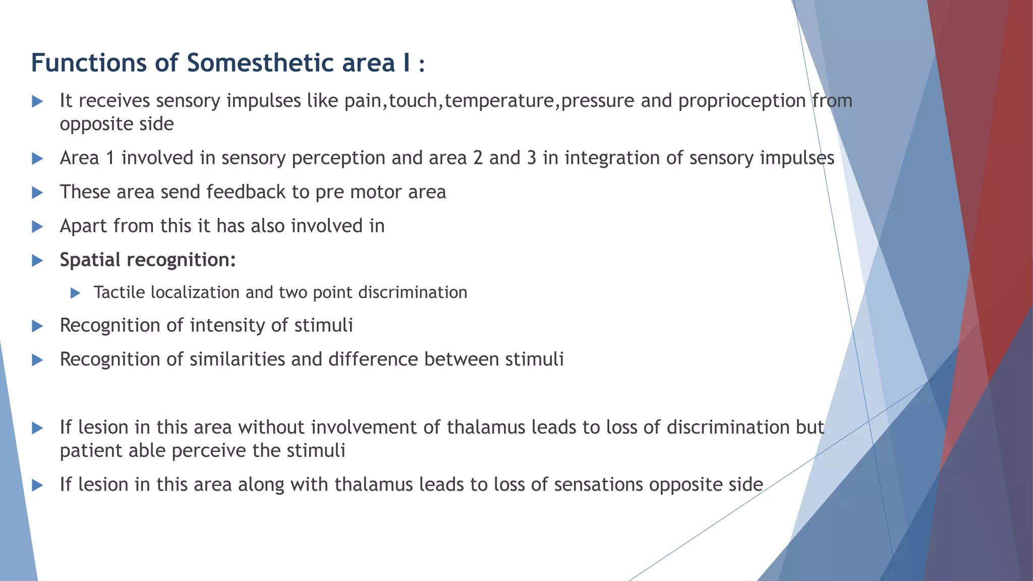 Functions of Somesthetic area I :
 It receives sensory impulses like pain,touch,temperature,pressure and proprioception from
opposite side
 Area 1 involved in sensory perception and area 2 and 3 in integration of sensory impulses
 These area send feedback to pre motor area
 Apart from this it has also involved in
 Spatial recognition:
 Tactile localization and two point discrimination
 Recognition of intensity of stimuli
 Recognition of similarities and difference between stimuli
 If lesion in this area without involvement of thalamus leads to loss of discrimination but
patient able perceive the stimuli
 If lesion in this area along with thalamus leads to loss of sensations opposite side
 
