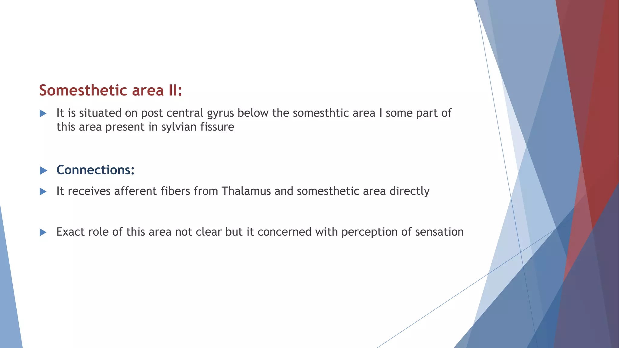 Somesthetic area II:
 It is situated on post central gyrus below the somesthtic area I some part of
this area present in sylvian fissure
 Connections:
 It receives afferent fibers from Thalamus and somesthetic area directly
 Exact role of this area not clear but it concerned with perception of sensation
 