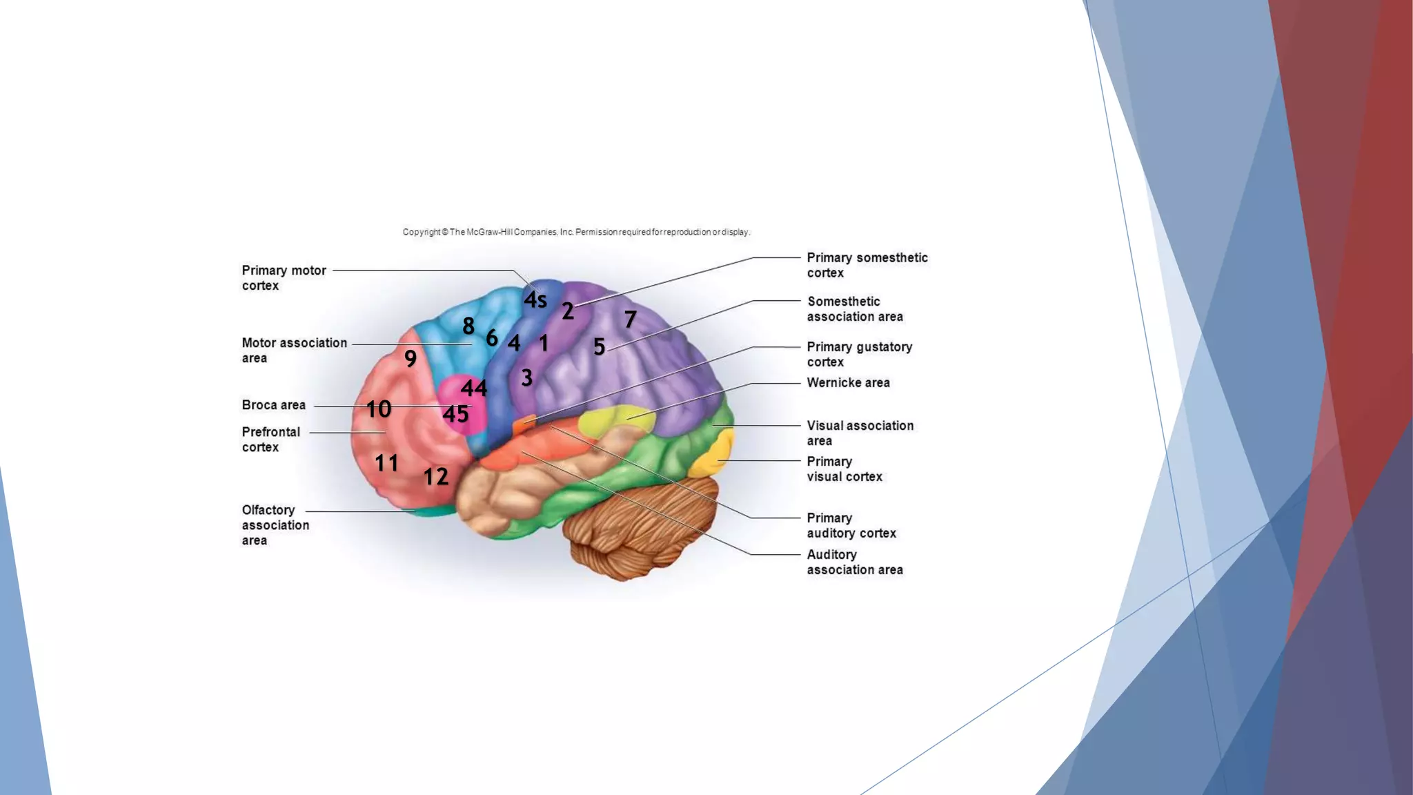 1
2
3
7
54
4s
68
44
45
9
10
11
12
 