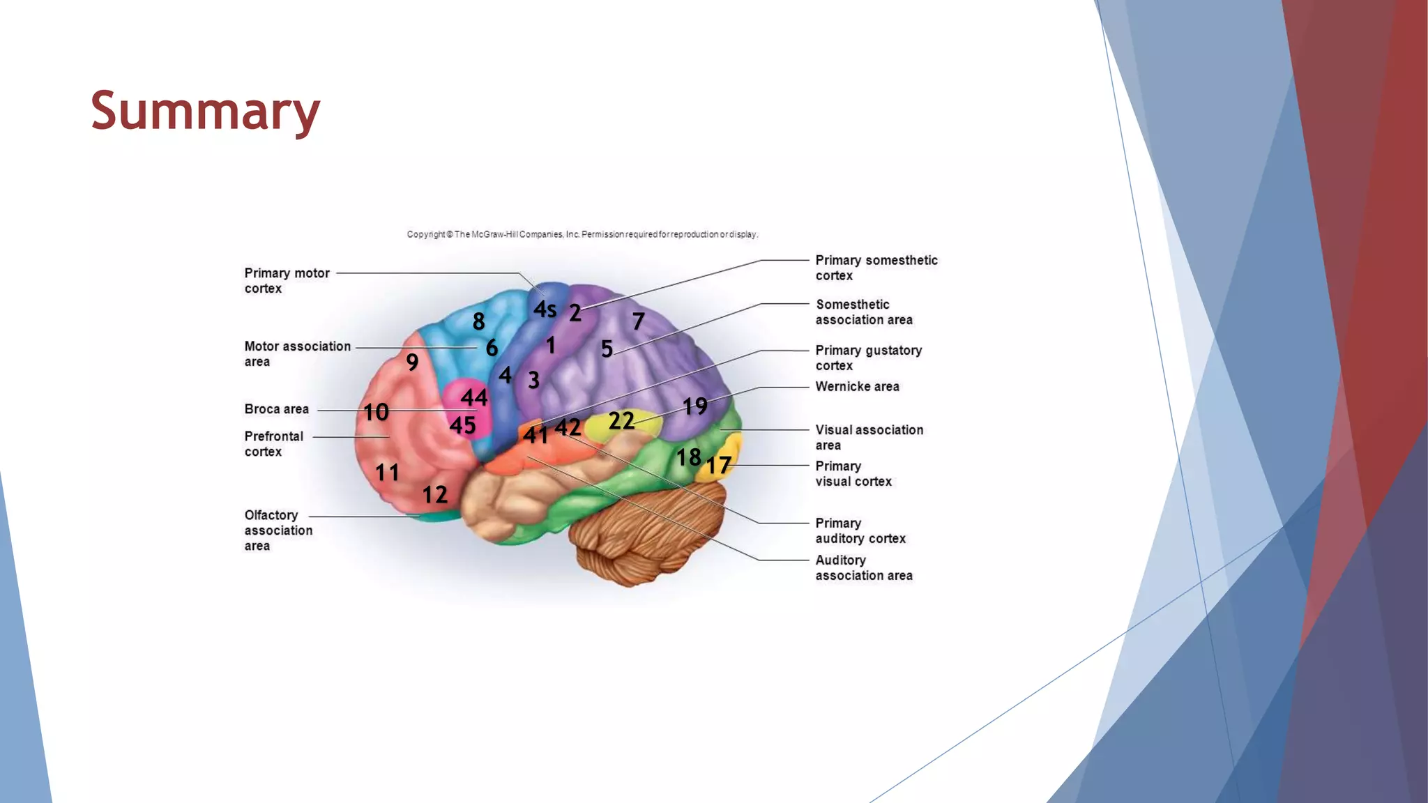 Summary
4
4s
6
8
44
45
9
10
11
12
1
2
3
7
5
224241
1718
19
 