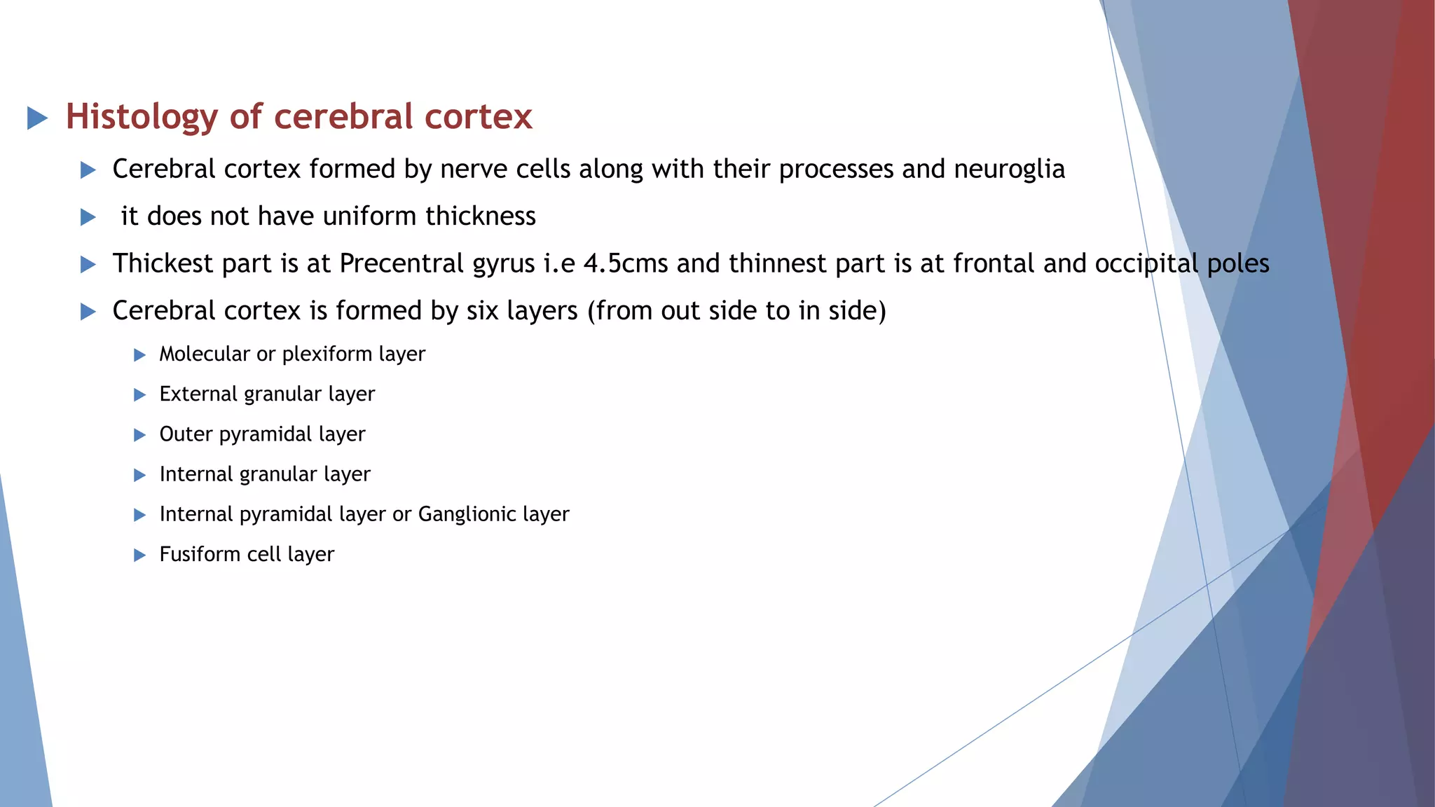 Histology of cerebral cortex
 Cerebral cortex formed by nerve cells along with their processes and neuroglia
 it does not have uniform thickness
 Thickest part is at Precentral gyrus i.e 4.5cms and thinnest part is at frontal and occipital poles
 Cerebral cortex is formed by six layers (from out side to in side)
 Molecular or plexiform layer
 External granular layer
 Outer pyramidal layer
 Internal granular layer
 Internal pyramidal layer or Ganglionic layer
 Fusiform cell layer
 