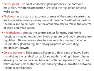 • Pineal gland: This small endocrine gland produces the hormone
melatonin. Melatonin production is vital to the regulation of sleep-
wake cycles.
• Thalamus: A structure that connects areas of the cerebral cortex that
are involved in sensory perception and movement with other parts of
the brain and spinal cord. The thalamus also plays a role in the control
of sleep and wake cycles.
• Hypothalamus: Acts as the control center for many autonomic
functions including respiration, blood pressure, and body temperature
regulation. This endocrine structure secretes hormones that act on
the pituitary gland to regulate biological processes including
metabolism, growth,
• Corpus collusum: The corpus callosum is a thick band of nerve fibers
that divides the cerebral cortex lobes into left and right hemispheres
allowing for communication between both hemispheres. The corpus
callosum transfers motor, sensory, and cognitive information between
the brain hemispheres.
 