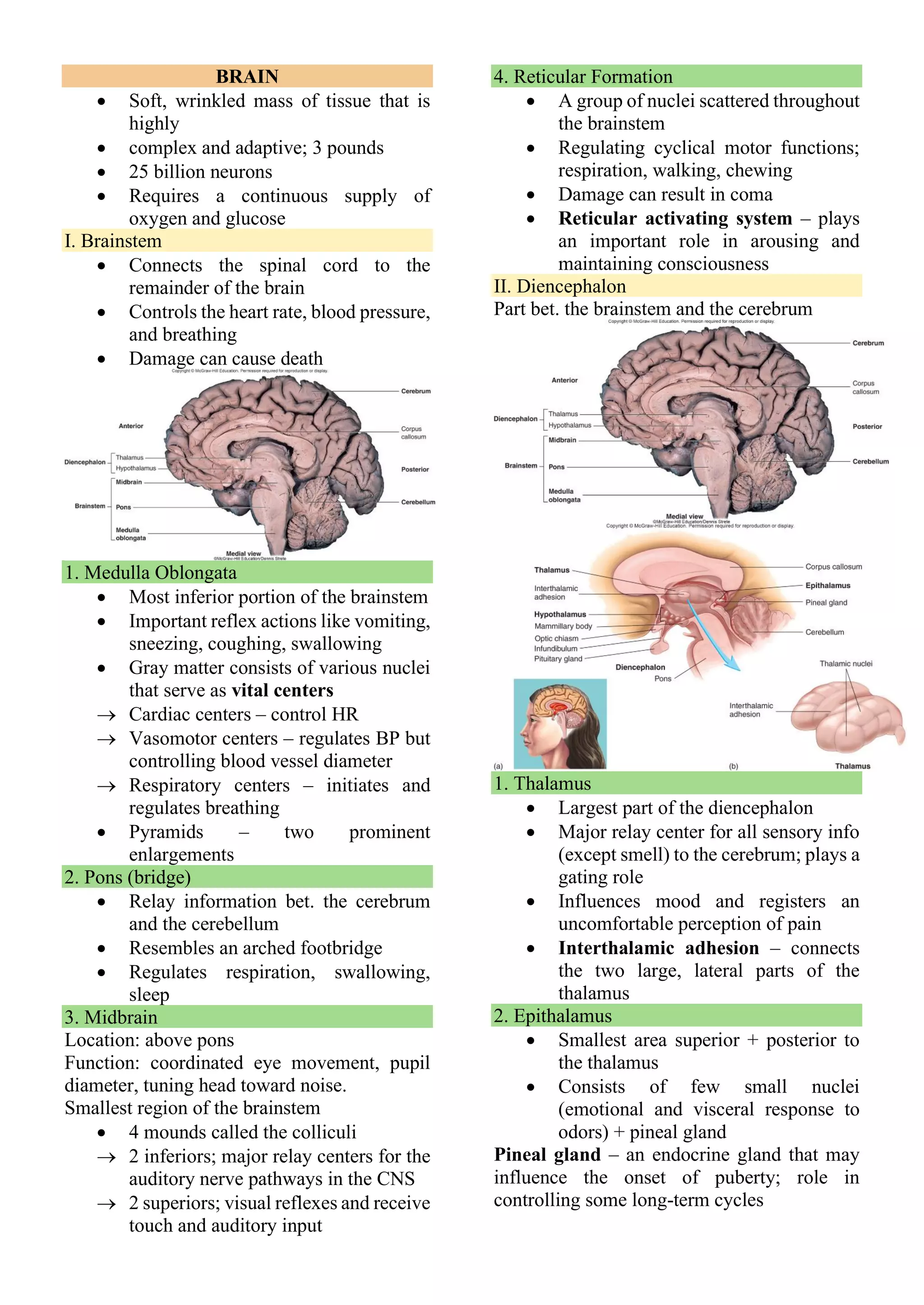 BRAIN
• Soft, wrinkled mass of tissue that is
highly
• complex and adaptive; 3 pounds
• 25 billion neurons
• Requires a continuous supply of
oxygen and glucose
I. Brainstem
• Connects the spinal cord to the
remainder of the brain
• Controls the heart rate, blood pressure,
and breathing
• Damage can cause death
1. Medulla Oblongata
• Most inferior portion of the brainstem
• Important reflex actions like vomiting,
sneezing, coughing, swallowing
• Gray matter consists of various nuclei
that serve as vital centers
→ Cardiac centers – control HR
→ Vasomotor centers – regulates BP but
controlling blood vessel diameter
→ Respiratory centers – initiates and
regulates breathing
• Pyramids – two prominent
enlargements
2. Pons (bridge)
• Relay information bet. the cerebrum
and the cerebellum
• Resembles an arched footbridge
• Regulates respiration, swallowing,
sleep
3. Midbrain
Location: above pons
Function: coordinated eye movement, pupil
diameter, tuning head toward noise.
Smallest region of the brainstem
• 4 mounds called the colliculi
→ 2 inferiors; major relay centers for the
auditory nerve pathways in the CNS
→ 2 superiors; visual reflexes and receive
touch and auditory input
4. Reticular Formation
• A group of nuclei scattered throughout
the brainstem
• Regulating cyclical motor functions;
respiration, walking, chewing
• Damage can result in coma
• Reticular activating system – plays
an important role in arousing and
maintaining consciousness
II. Diencephalon
Part bet. the brainstem and the cerebrum
1. Thalamus
• Largest part of the diencephalon
• Major relay center for all sensory info
(except smell) to the cerebrum; plays a
gating role
• Influences mood and registers an
uncomfortable perception of pain
• Interthalamic adhesion – connects
the two large, lateral parts of the
thalamus
2. Epithalamus
• Smallest area superior + posterior to
the thalamus
• Consists of few small nuclei
(emotional and visceral response to
odors) + pineal gland
Pineal gland – an endocrine gland that may
influence the onset of puberty; role in
controlling some long-term cycles
 