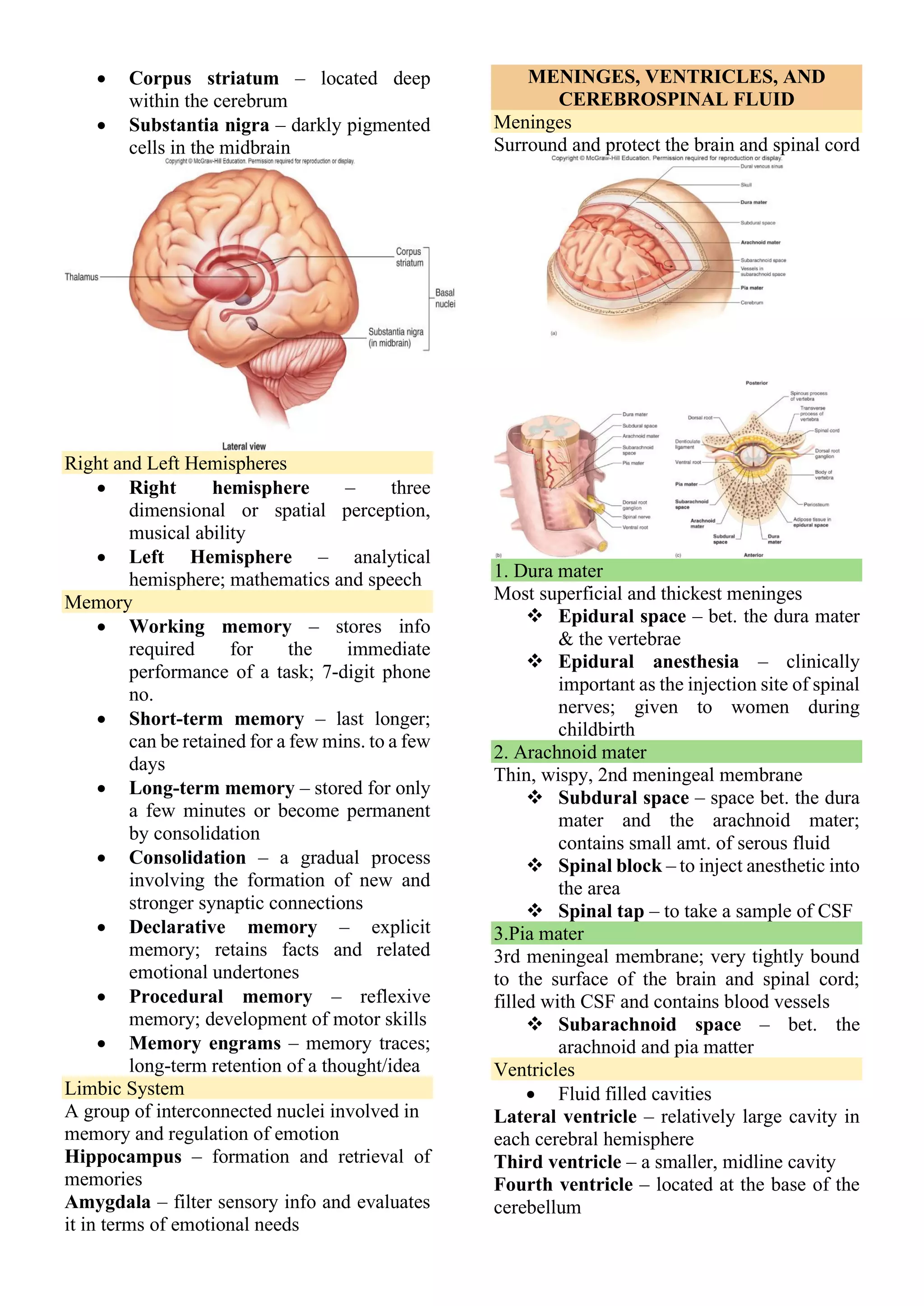 • Corpus striatum – located deep
within the cerebrum
• Substantia nigra – darkly pigmented
cells in the midbrain
Right and Left Hemispheres
• Right hemisphere – three
dimensional or spatial perception,
musical ability
• Left Hemisphere – analytical
hemisphere; mathematics and speech
Memory
• Working memory – stores info
required for the immediate
performance of a task; 7-digit phone
no.
• Short-term memory – last longer;
can be retained for a few mins. to a few
days
• Long-term memory – stored for only
a few minutes or become permanent
by consolidation
• Consolidation – a gradual process
involving the formation of new and
stronger synaptic connections
• Declarative memory – explicit
memory; retains facts and related
emotional undertones
• Procedural memory – reflexive
memory; development of motor skills
• Memory engrams – memory traces;
long-term retention of a thought/idea
Limbic System
A group of interconnected nuclei involved in
memory and regulation of emotion
Hippocampus – formation and retrieval of
memories
Amygdala – filter sensory info and evaluates
it in terms of emotional needs
MENINGES, VENTRICLES, AND
CEREBROSPINAL FLUID
Meninges
Surround and protect the brain and spinal cord
1. Dura mater
Most superficial and thickest meninges
❖ Epidural space – bet. the dura mater
& the vertebrae
❖ Epidural anesthesia – clinically
important as the injection site of spinal
nerves; given to women during
childbirth
2. Arachnoid mater
Thin, wispy, 2nd meningeal membrane
❖ Subdural space – space bet. the dura
mater and the arachnoid mater;
contains small amt. of serous fluid
❖ Spinal block – to inject anesthetic into
the area
❖ Spinal tap – to take a sample of CSF
3.Pia mater
3rd meningeal membrane; very tightly bound
to the surface of the brain and spinal cord;
filled with CSF and contains blood vessels
❖ Subarachnoid space – bet. the
arachnoid and pia matter
Ventricles
• Fluid filled cavities
Lateral ventricle – relatively large cavity in
each cerebral hemisphere
Third ventricle – a smaller, midline cavity
Fourth ventricle – located at the base of the
cerebellum
 