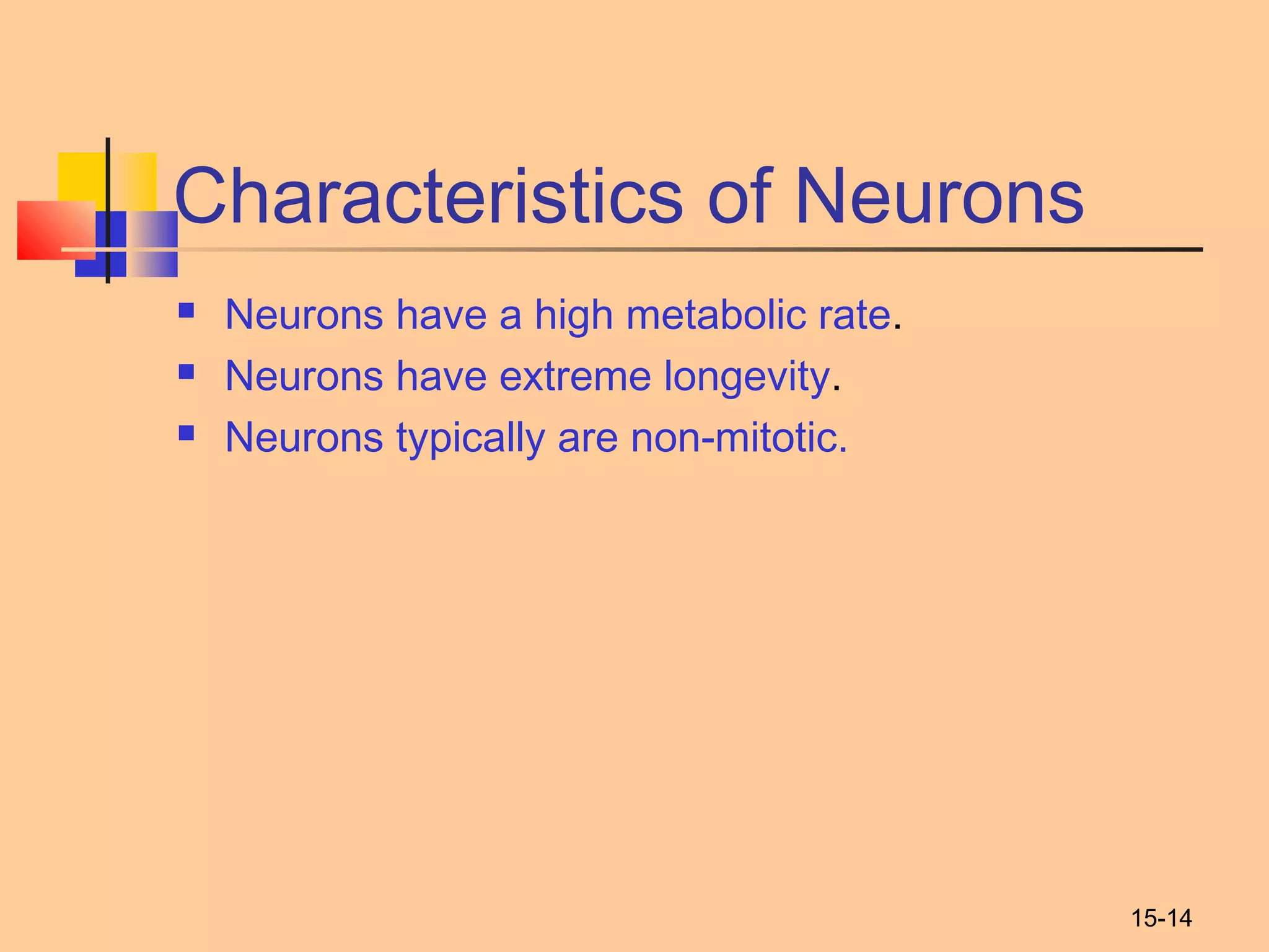 15-14
Characteristics of Neurons
 Neurons have a high metabolic rate.
 Neurons have extreme longevity.
 Neurons typically are non-mitotic.
 