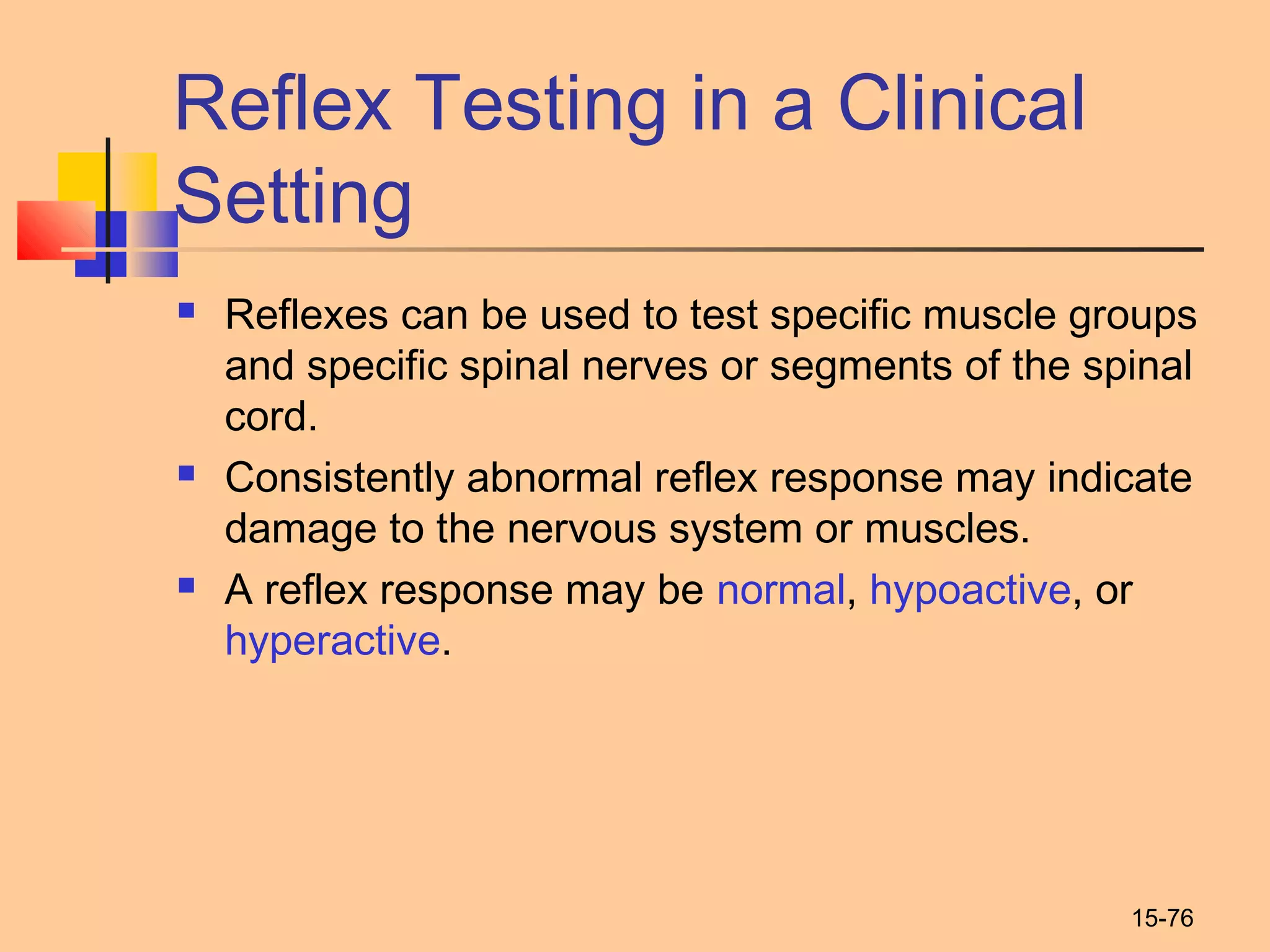 15-76
Reflex Testing in a Clinical
Setting
 Reflexes can be used to test specific muscle groups
and specific spinal nerves or segments of the spinal
cord.
 Consistently abnormal reflex response may indicate
damage to the nervous system or muscles.
 A reflex response may be normal, hypoactive, or
hyperactive.
 