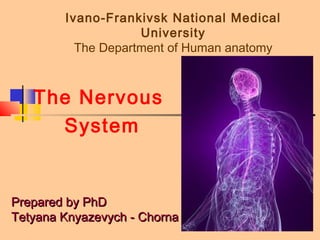 1
Ivano-Frankivsk National Medical
University
The Department of Human anatomy
The Nervous
System
Prepared by PhDPrepared by PhD
Tetyana Knyazevych - ChornaTetyana Knyazevych - Chorna
 