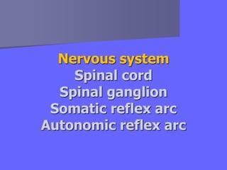 Nervous system
Spinal cord
Spinal ganglion
Somatic reflex arc
Autonomic reflex arc
 