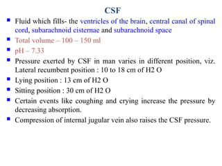Comprehensive Overview of Neurophysiology: CSF, Brain Functions, and ...